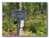 Chacala-Trail-Paynes-Prairie-Preserve-State-Park-Micanopy-FL-027