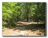 Chacala-Trail-Paynes-Prairie-Preserve-State-Park-Micanopy-FL-031