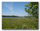 Chacala-Trail-Paynes-Prairie-Preserve-State-Park-Micanopy-FL-035