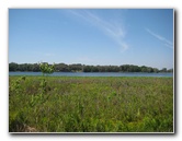 Chacala-Trail-Paynes-Prairie-Preserve-State-Park-Micanopy-FL-036