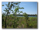 Chacala-Trail-Paynes-Prairie-Preserve-State-Park-Micanopy-FL-037