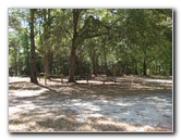 Chacala-Trail-Paynes-Prairie-Preserve-State-Park-Micanopy-FL-041