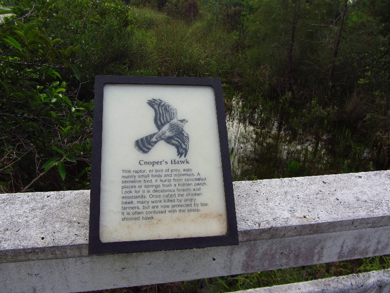 Chapel-Trail-Nature-Preserve-Pembroke-Pines-FL-004
