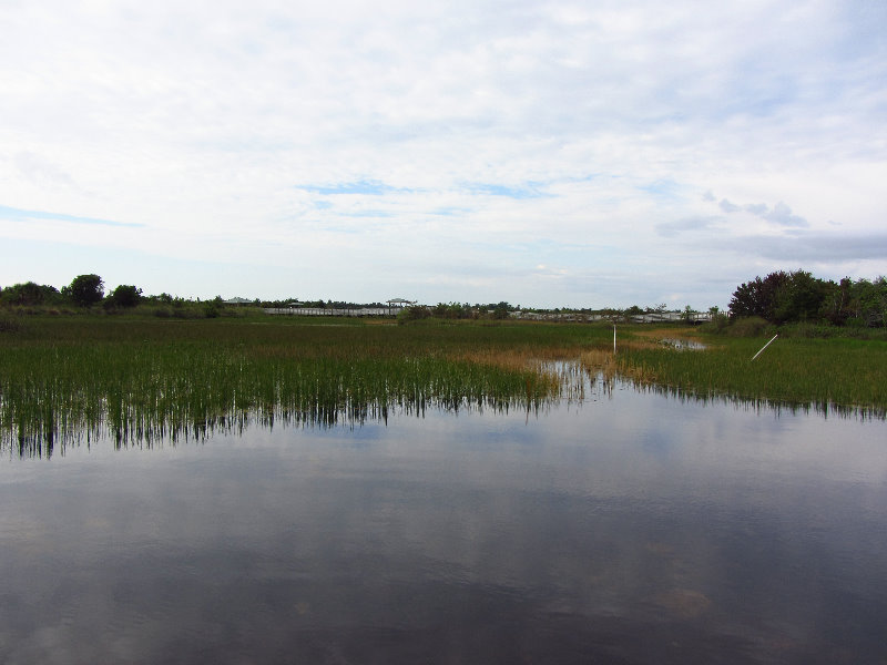 Chapel-Trail-Nature-Preserve-Pembroke-Pines-FL-011