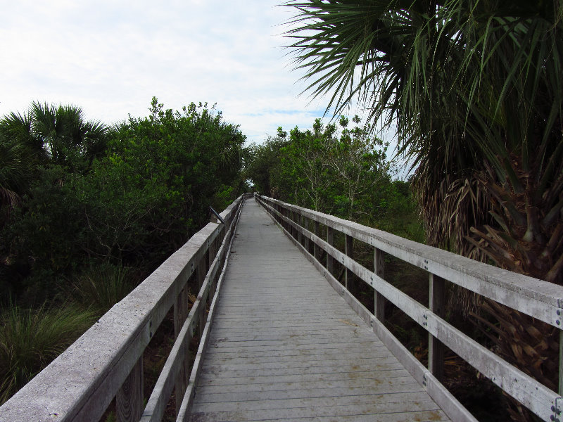 Chapel-Trail-Nature-Preserve-Pembroke-Pines-FL-018