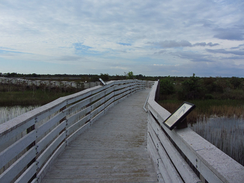 Chapel-Trail-Nature-Preserve-Pembroke-Pines-FL-022