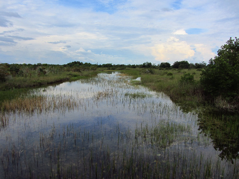 Chapel-Trail-Nature-Preserve-Pembroke-Pines-FL-023