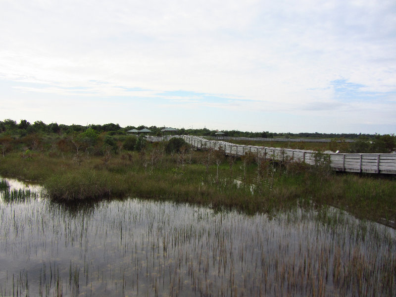 Chapel-Trail-Nature-Preserve-Pembroke-Pines-FL-024