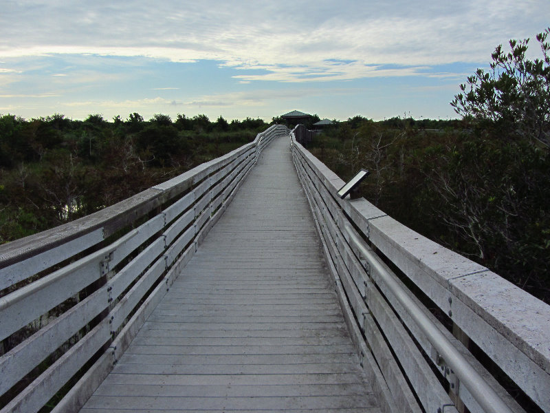 Chapel-Trail-Nature-Preserve-Pembroke-Pines-FL-025