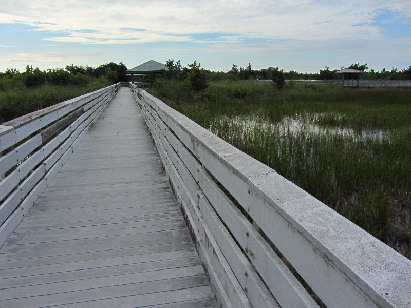 Chapel-Trail-Nature-Preserve-Pembroke-Pines-FL-030