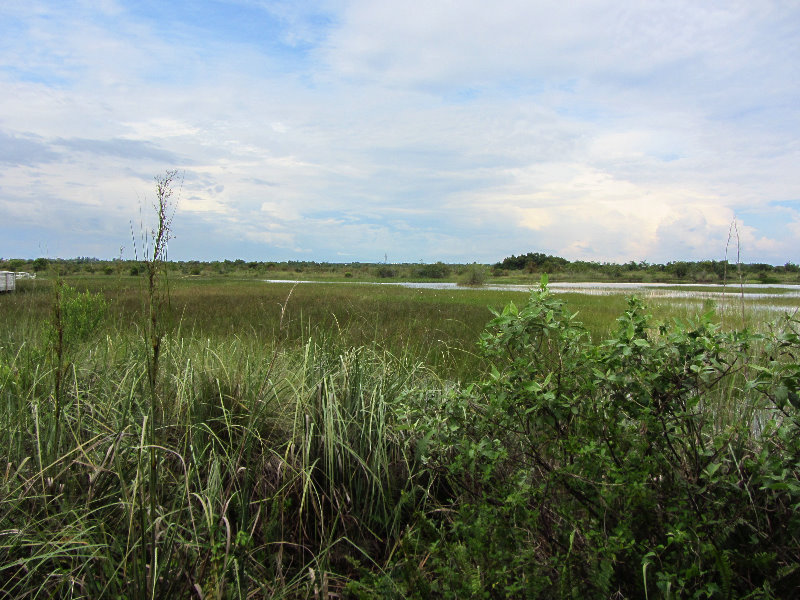 Chapel-Trail-Nature-Preserve-Pembroke-Pines-FL-033