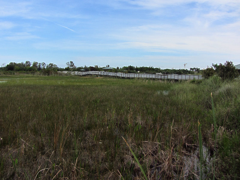 Chapel-Trail-Nature-Preserve-Pembroke-Pines-FL-041