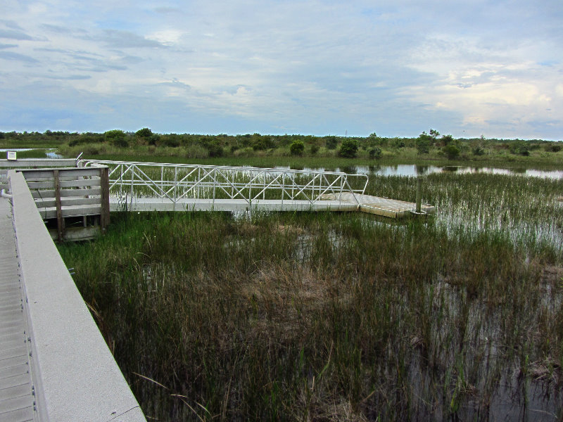 Chapel-Trail-Nature-Preserve-Pembroke-Pines-FL-044