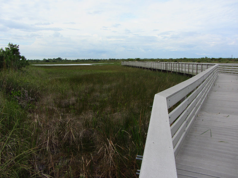 Chapel-Trail-Nature-Preserve-Pembroke-Pines-FL-049