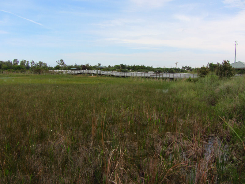 Chapel-Trail-Nature-Preserve-Pembroke-Pines-FL-050