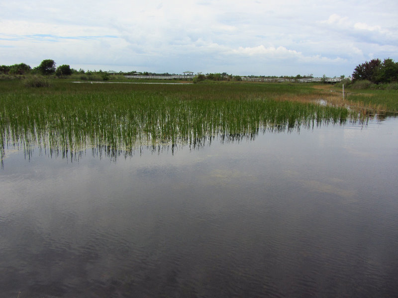 Chapel-Trail-Nature-Preserve-Pembroke-Pines-FL-069