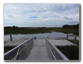 Chapel-Trail-Nature-Preserve-Pembroke-Pines-FL-007