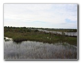 Chapel-Trail-Nature-Preserve-Pembroke-Pines-FL-024