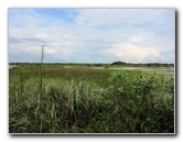 Chapel-Trail-Nature-Preserve-Pembroke-Pines-FL-033