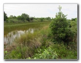 Chapel-Trail-Nature-Preserve-Pembroke-Pines-FL-035