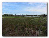 Chapel-Trail-Nature-Preserve-Pembroke-Pines-FL-041