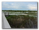 Chapel-Trail-Nature-Preserve-Pembroke-Pines-FL-044