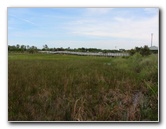 Chapel-Trail-Nature-Preserve-Pembroke-Pines-FL-050