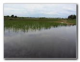 Chapel-Trail-Nature-Preserve-Pembroke-Pines-FL-069