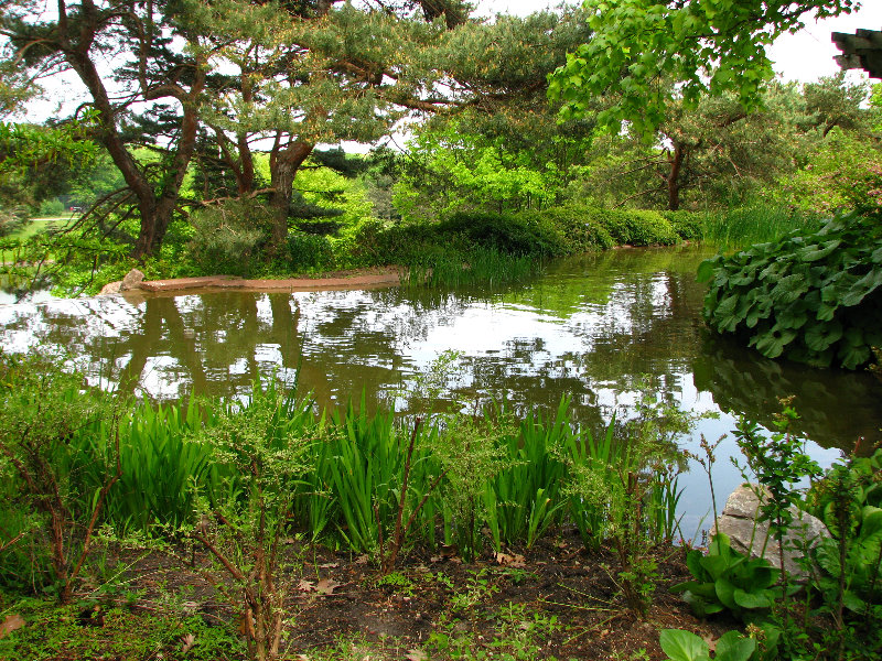 Chicago-Botanic-Garden-Glencoe-IL-0016