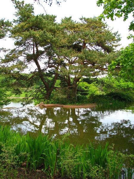 Chicago-Botanic-Garden-Glencoe-IL-0017