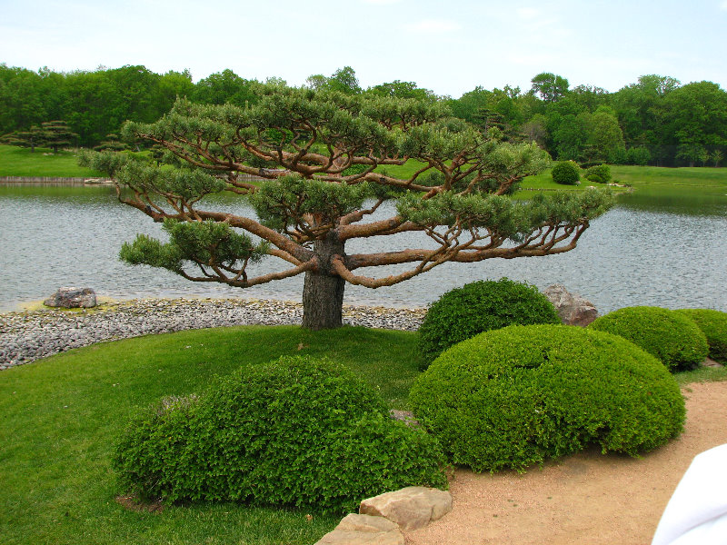 Chicago-Botanic-Garden-Glencoe-IL-0025