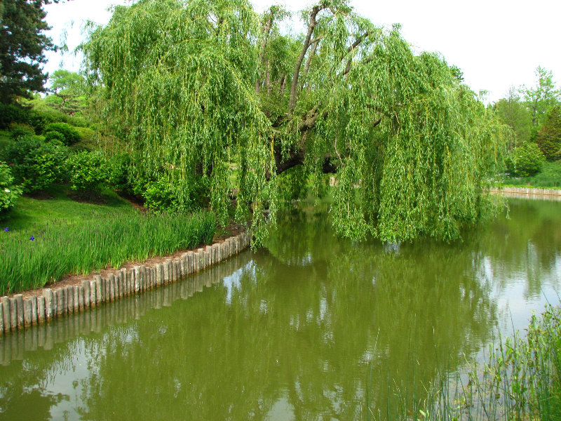 Chicago-Botanic-Garden-Glencoe-IL-0033