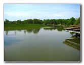 Chicago-Botanic-Garden-Glencoe-IL-0001