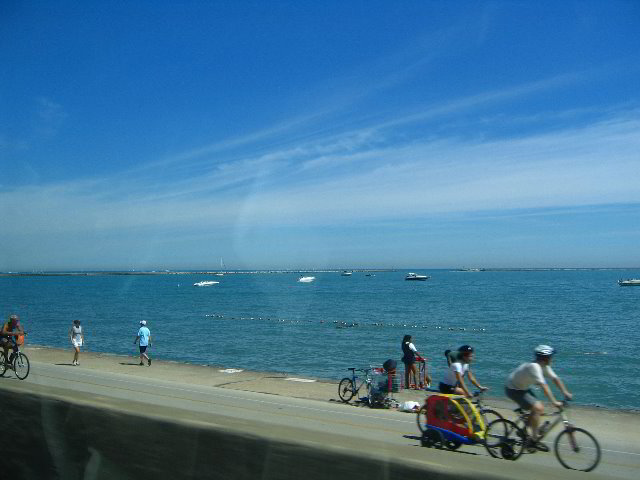 Lincoln-Park-Zoo-Chicago-002