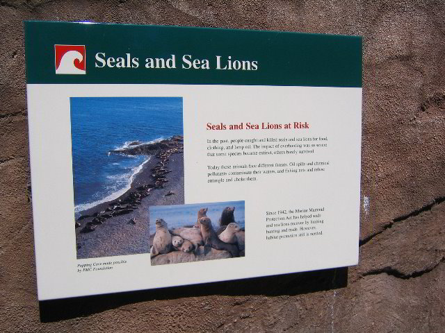 Lincoln-Park-Zoo-Chicago-006