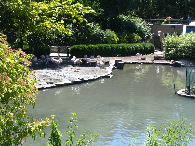 Lincoln-Park-Zoo-Chicago-015