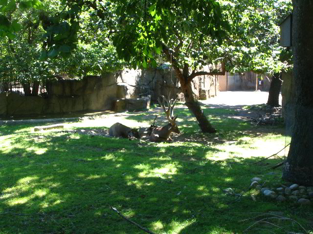 Lincoln-Park-Zoo-Chicago-017