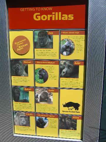 Lincoln-Park-Zoo-Chicago-024