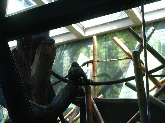 Lincoln-Park-Zoo-Chicago-025