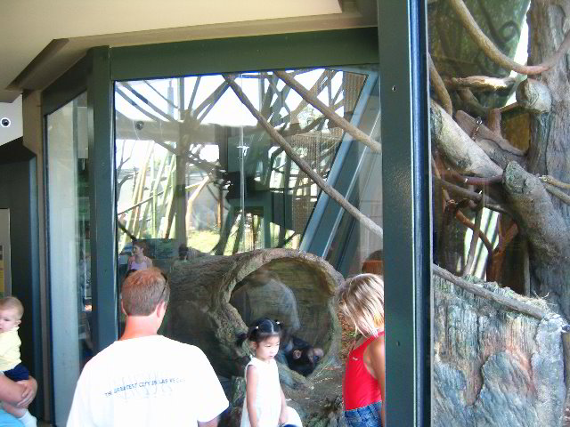 Lincoln-Park-Zoo-Chicago-027