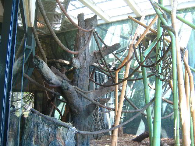 Lincoln-Park-Zoo-Chicago-028