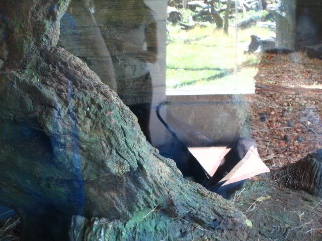 Lincoln-Park-Zoo-Chicago-029