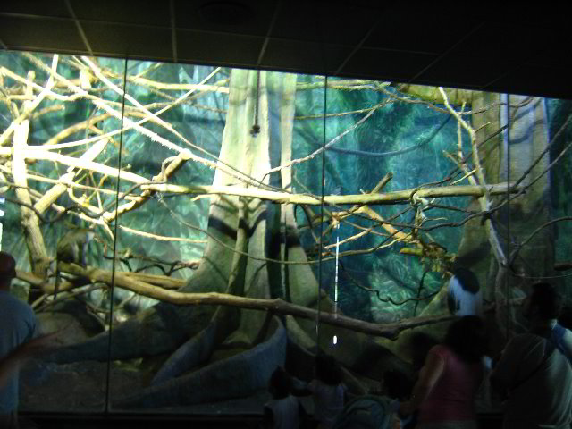 Lincoln-Park-Zoo-Chicago-030