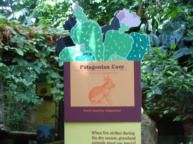 Lincoln-Park-Zoo-Chicago-050