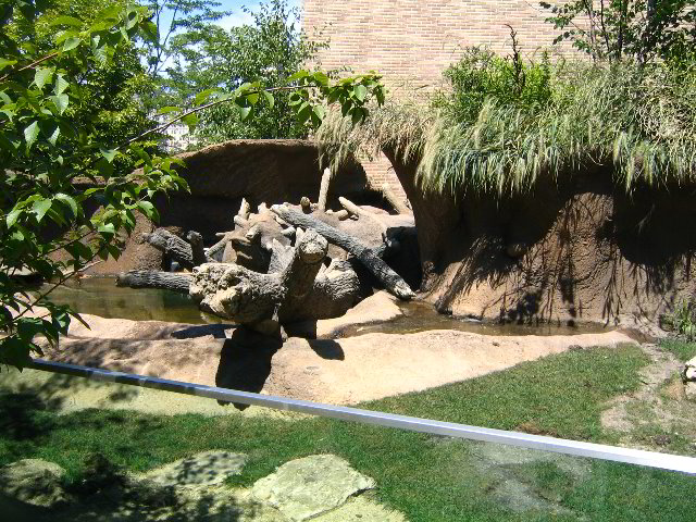 Lincoln-Park-Zoo-Chicago-056