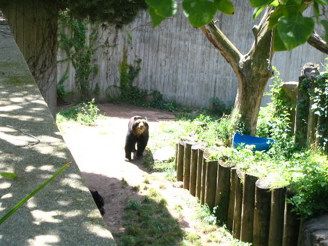 Lincoln-Park-Zoo-Chicago-075