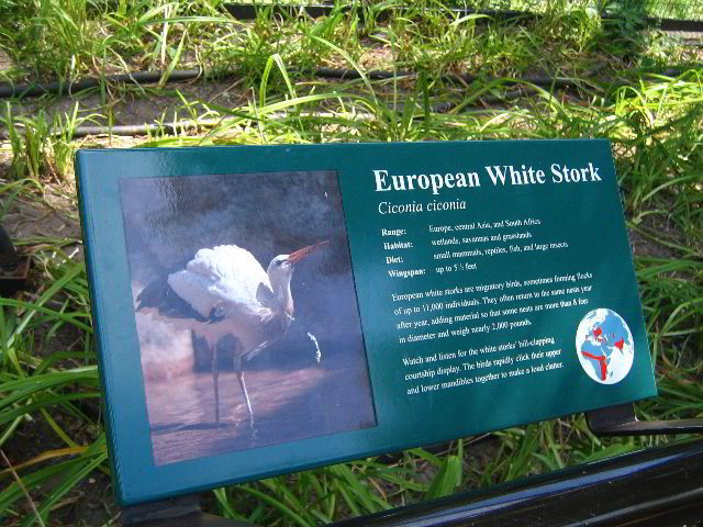 Lincoln-Park-Zoo-Chicago-079