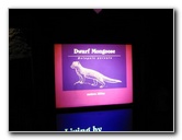 Lincoln-Park-Zoo-Chicago-046