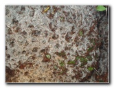 Lincoln-Park-Zoo-Chicago-051