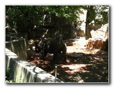 Lincoln-Park-Zoo-Chicago-059